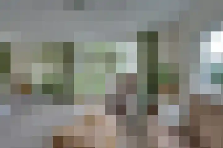 Hugo de Grootstraat 2 Middenbeemster thumbnail 17