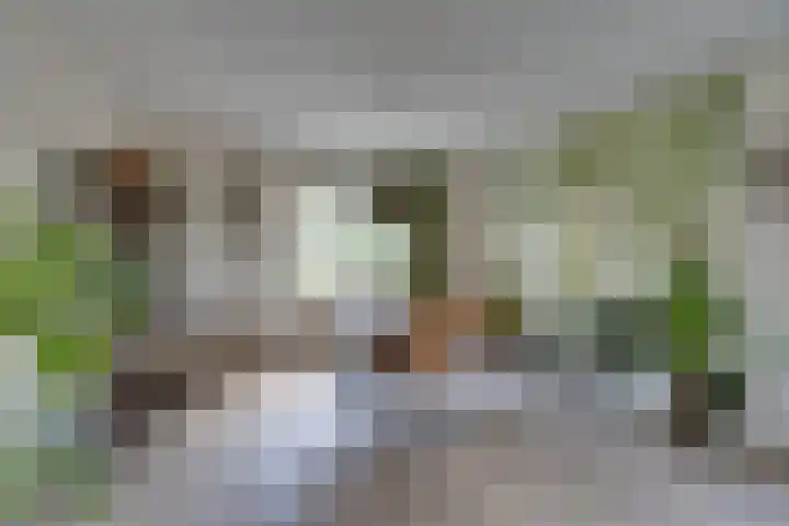Hugo de Grootstraat 2 Middenbeemster thumbnail 20