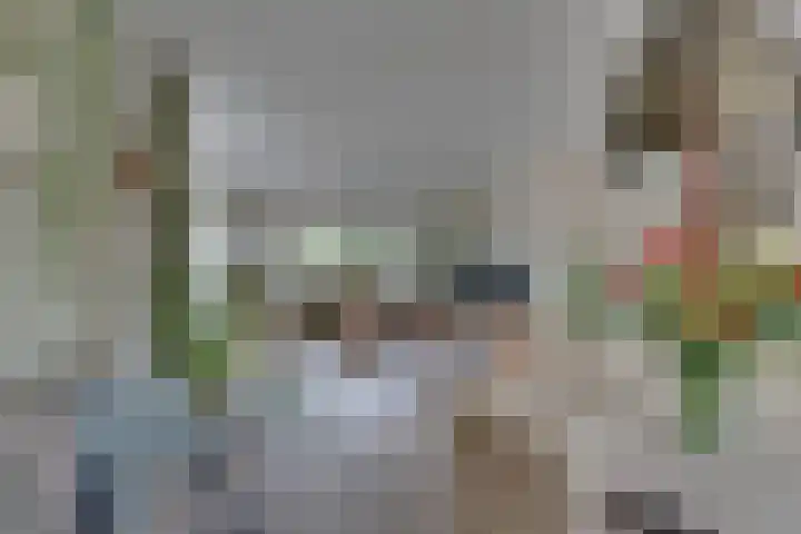 Hugo de Grootstraat 2 Middenbeemster thumbnail 21