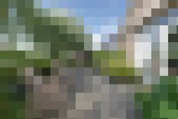 Hugo de Grootstraat 2 Middenbeemster thumbnail 29