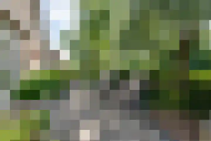 Hugo de Grootstraat 2 Middenbeemster thumbnail 30
