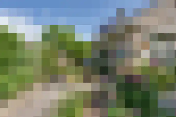 Hugo de Grootstraat 2 Middenbeemster thumbnail 31