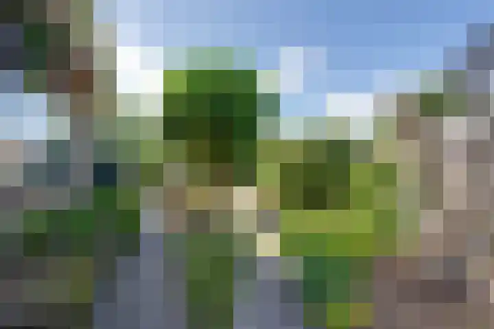 Hugo de Grootstraat 2 Middenbeemster thumbnail 32