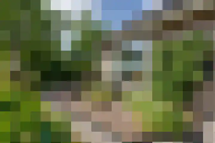 Hugo de Grootstraat 2 Middenbeemster thumbnail 34