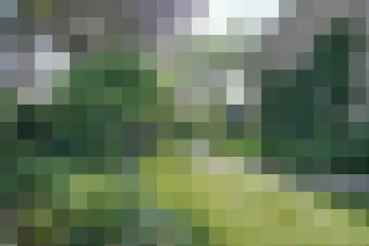 Hugo de Grootstraat 2 Middenbeemster thumbnail 35