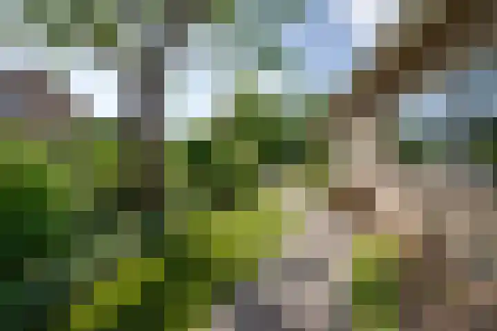 Hugo de Grootstraat 2 Middenbeemster thumbnail 36