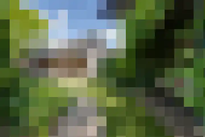 Hugo de Grootstraat 2 Middenbeemster thumbnail 37