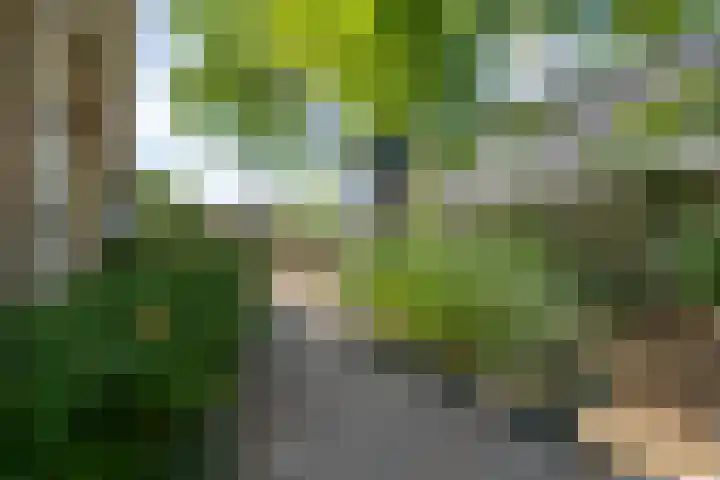 Hugo de Grootstraat 2 Middenbeemster thumbnail 38