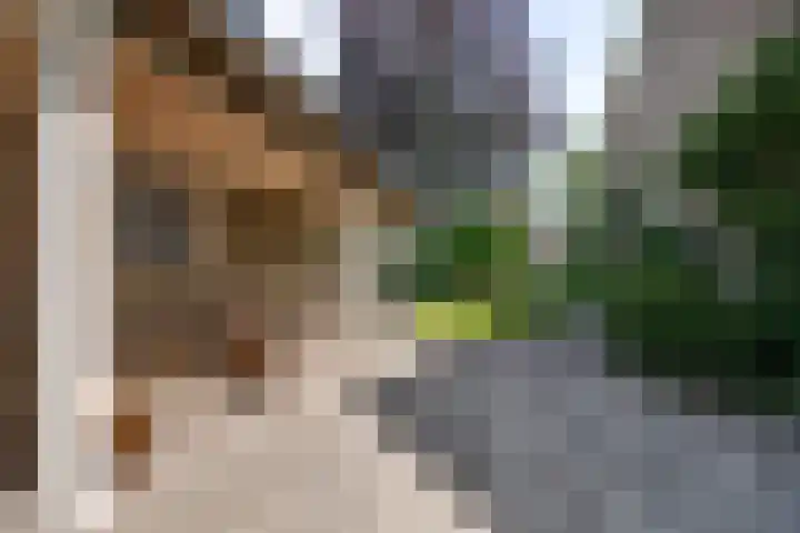 Hugo de Grootstraat 2 Middenbeemster thumbnail 39