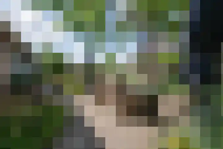 Hugo de Grootstraat 2 Middenbeemster thumbnail 40