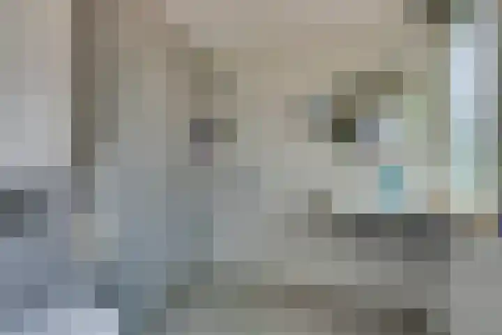 Hugo de Grootstraat 2 Middenbeemster thumbnail 47