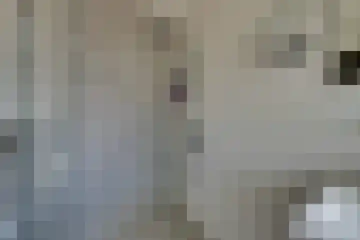 Hugo de Grootstraat 2 Middenbeemster thumbnail 49