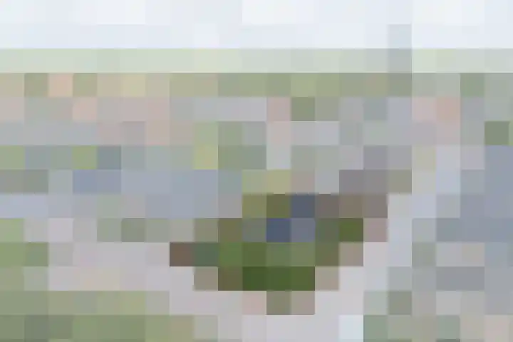 Hugo de Grootstraat 2 Middenbeemster thumbnail 5
