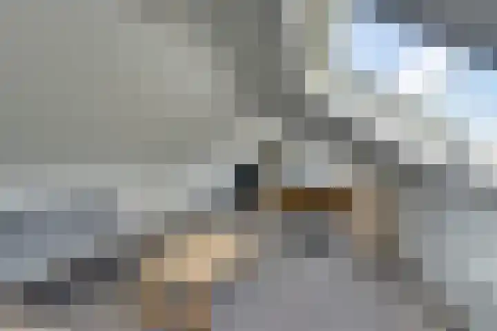 Hugo de Grootstraat 2 Middenbeemster thumbnail 61