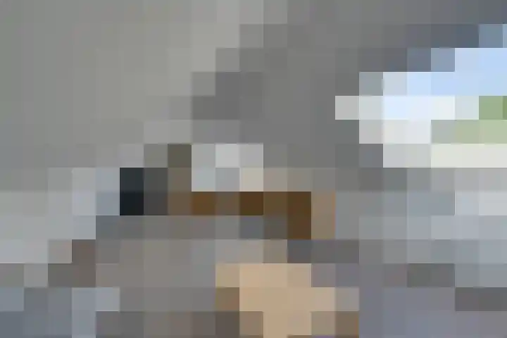 Hugo de Grootstraat 2 Middenbeemster thumbnail 62