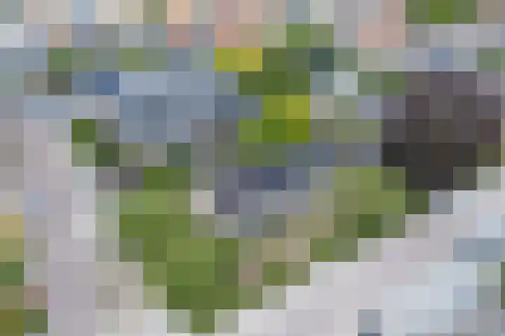 Hugo de Grootstraat 2 Middenbeemster thumbnail 66