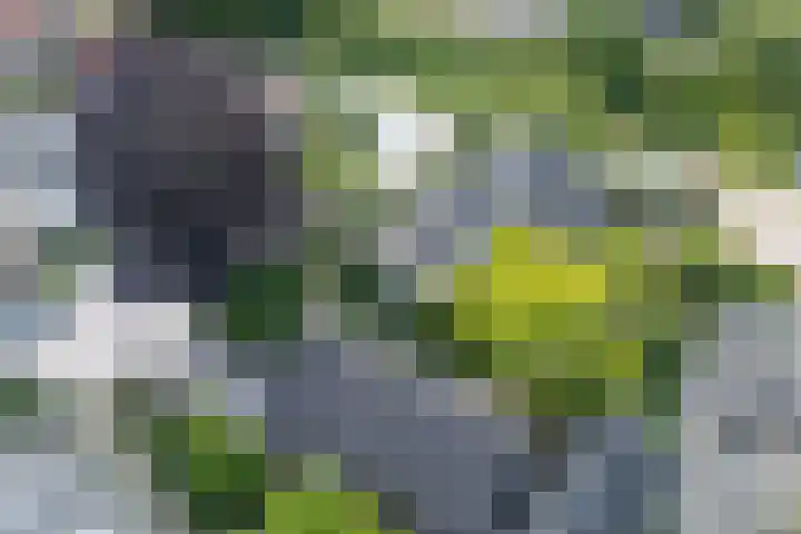 Hugo de Grootstraat 2 Middenbeemster thumbnail 67