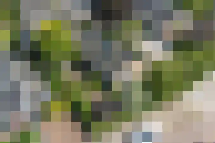 Hugo de Grootstraat 2 Middenbeemster thumbnail 7