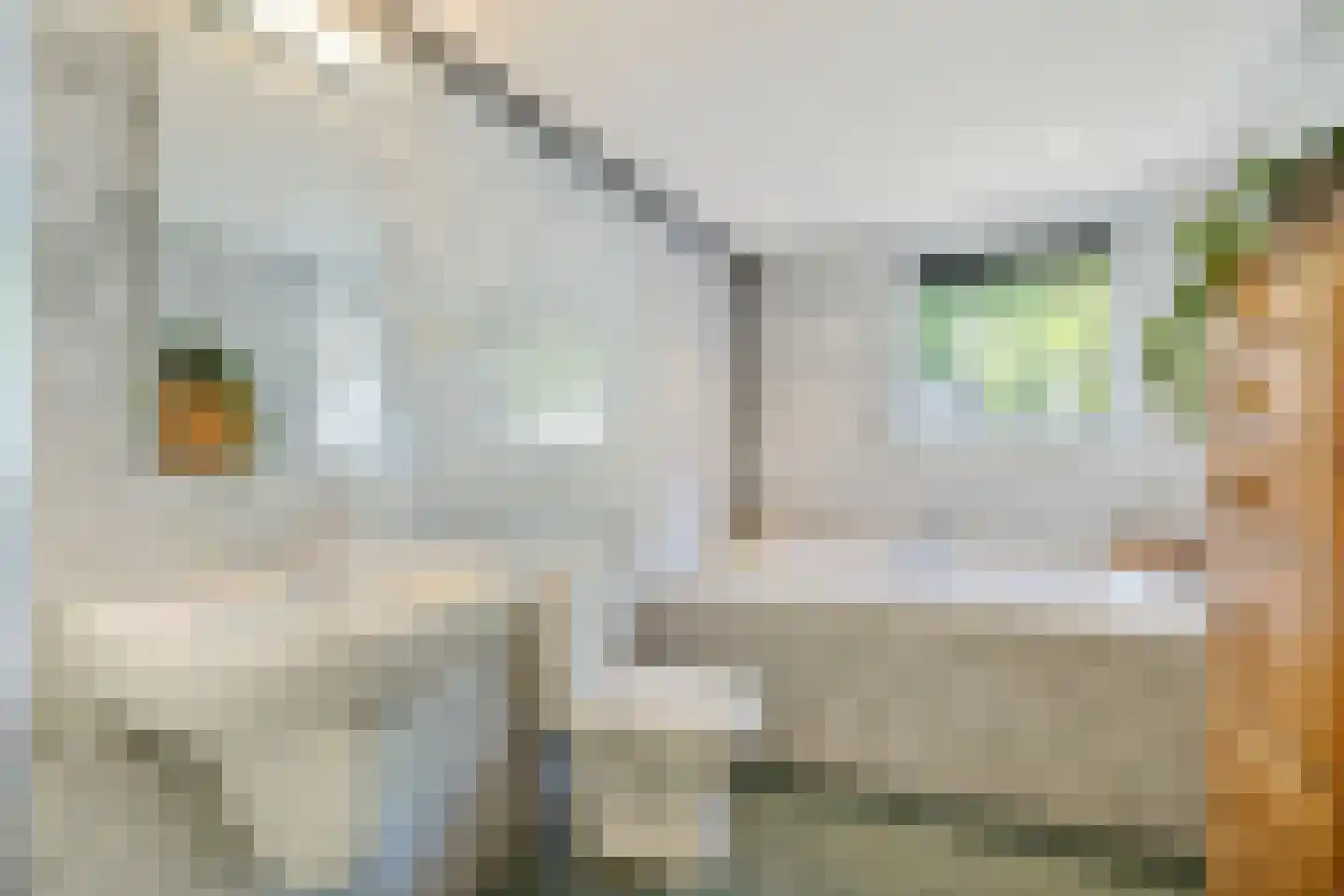 Hugo de Grootstraat 2 Utrecht thumbnail 34