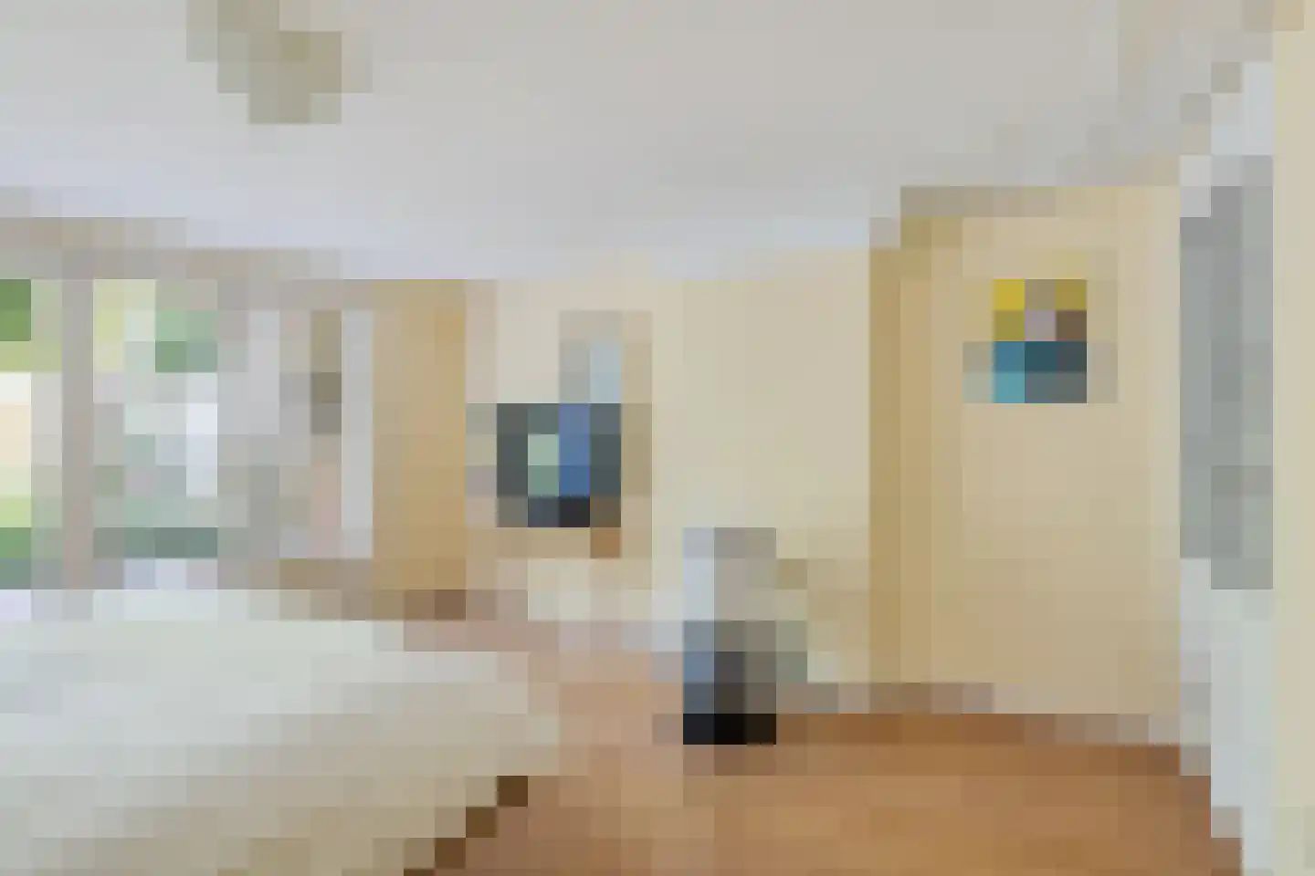 Hugo de Grootstraat 2 Utrecht thumbnail 38