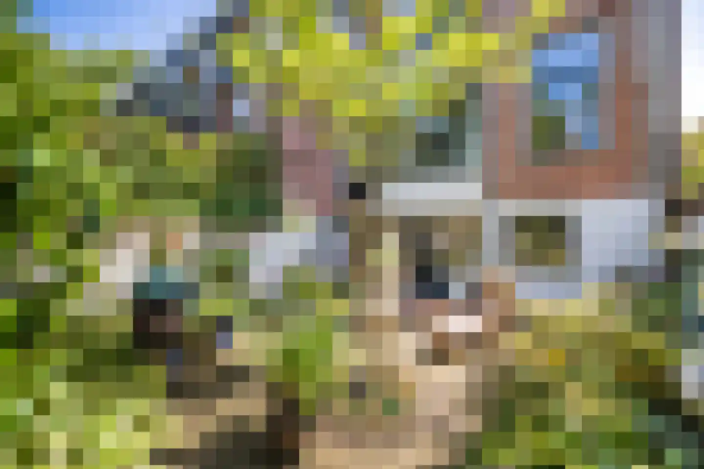 Hugo de Grootstraat 2 Utrecht thumbnail 4