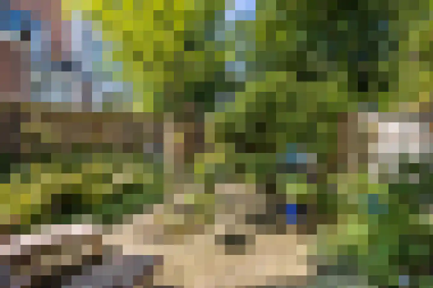 Hugo de Grootstraat 2 Utrecht thumbnail 43