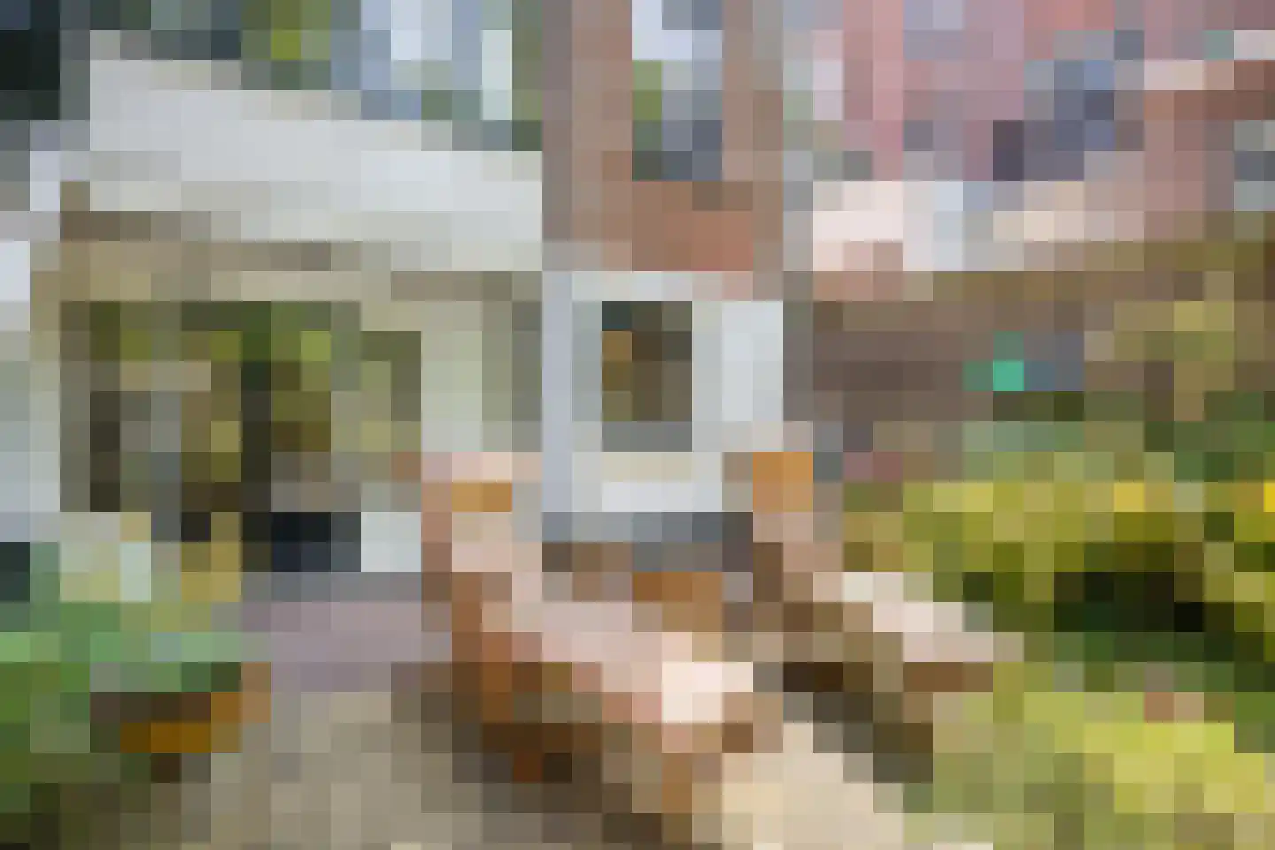 Hugo de Grootstraat 2 Utrecht thumbnail 45