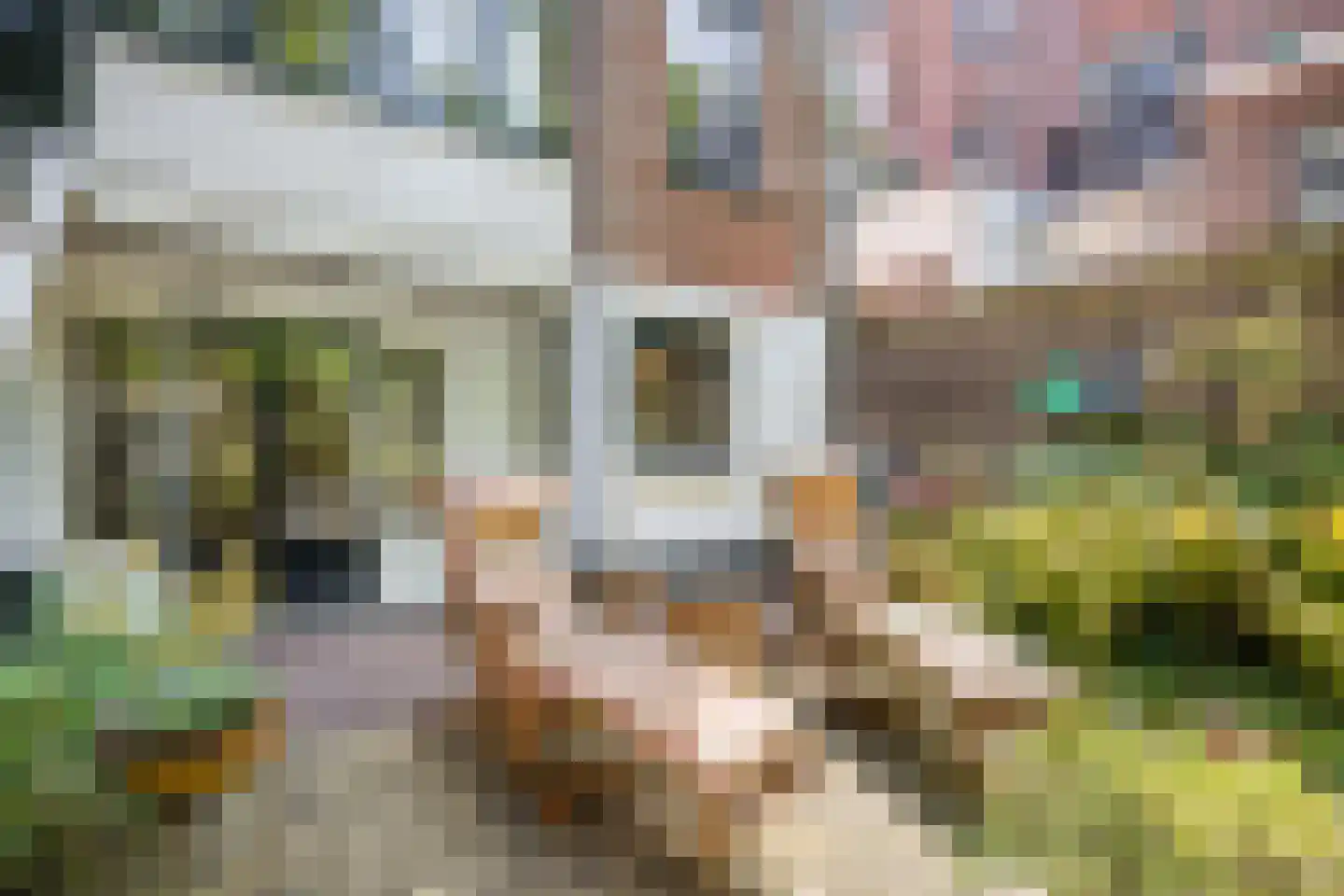 Hugo de Grootstraat 2 Utrecht thumbnail 46