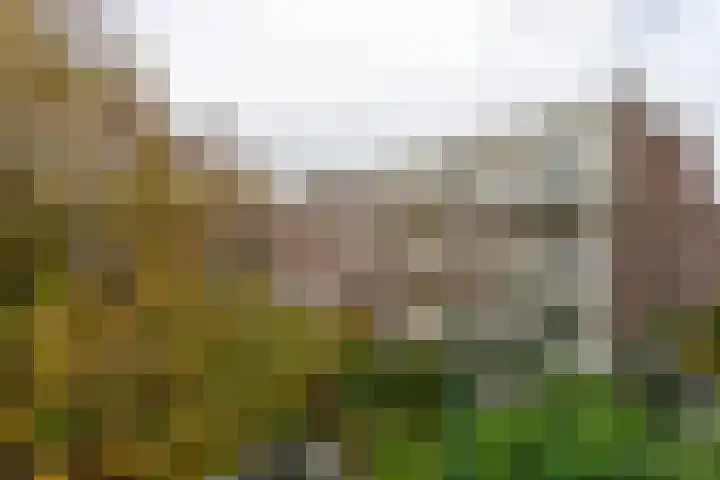 Hugo de Grootstraat 20 A Utrecht thumbnail 5