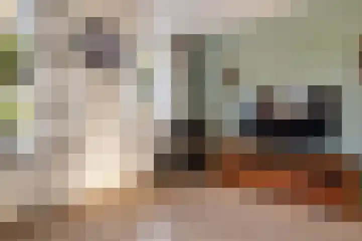 Hugo de Grootstraat 20 Oude Pekela thumbnail 16