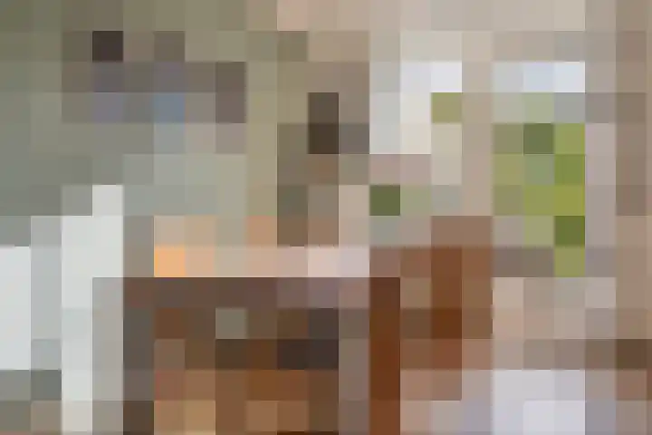 Hugo de Grootstraat 20 Oude Pekela thumbnail 19