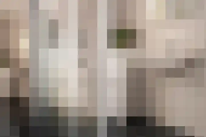 Hugo de Grootstraat 20 Oude Pekela thumbnail 34