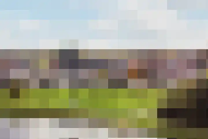 Hugo de Grootstraat 20 Oude Pekela thumbnail 4
