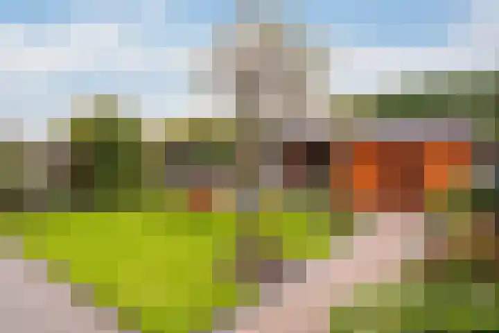 Hugo de Grootstraat 20 Oude Pekela thumbnail 43