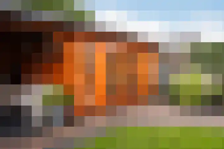 Hugo de Grootstraat 20 Oude Pekela thumbnail 46