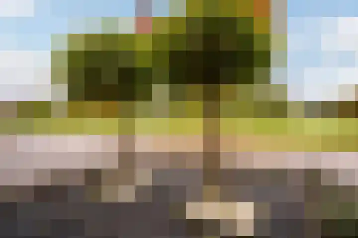 Hugo de Grootstraat 20 Oude Pekela thumbnail 48
