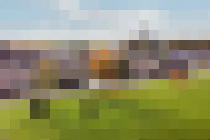 Hugo de Grootstraat 20 Oude Pekela thumbnail 51