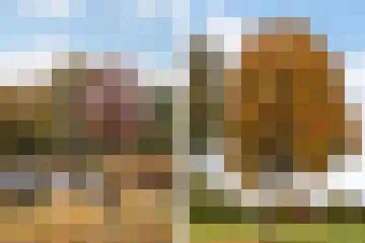 Hugo de Grootstraat 20 Oude Pekela thumbnail 54