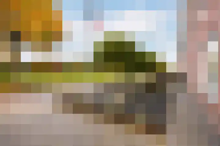 Hugo de Grootstraat 20 Oude Pekela thumbnail 9