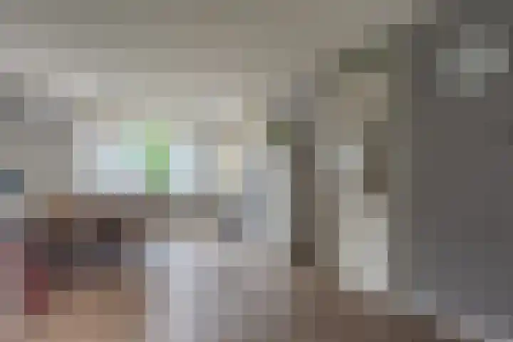 Hugo de Grootstraat 21 Hoogerheide thumbnail 10