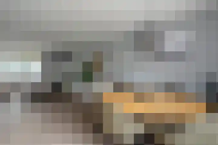 Hugo de Grootstraat 21 Hoogerheide thumbnail 11