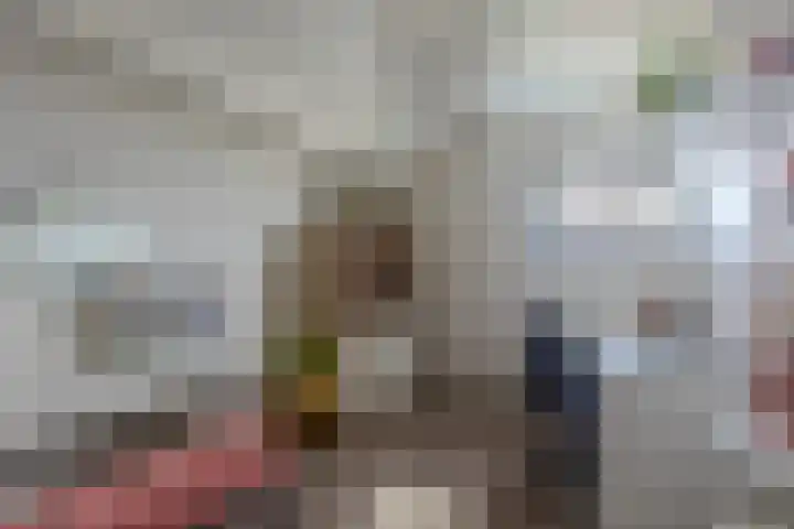 Hugo de Grootstraat 21 Hoogerheide thumbnail 31