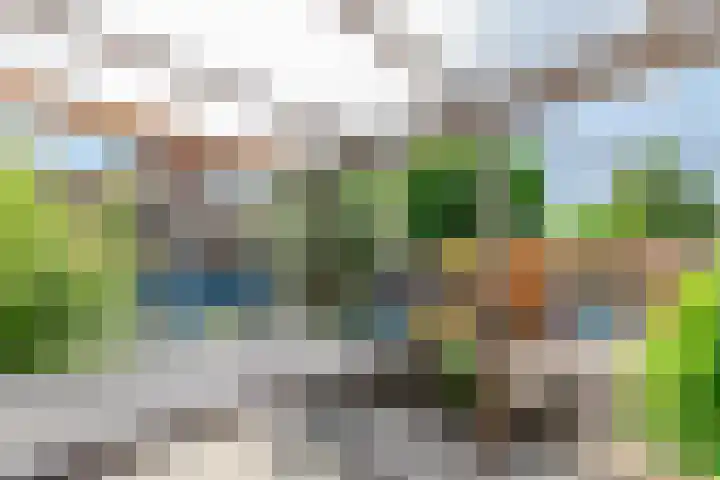 Hugo de Grootstraat 21 Hoogerheide thumbnail 39