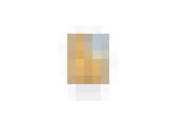 Hugo de Grootstraat 21 Hoogerheide thumbnail 52