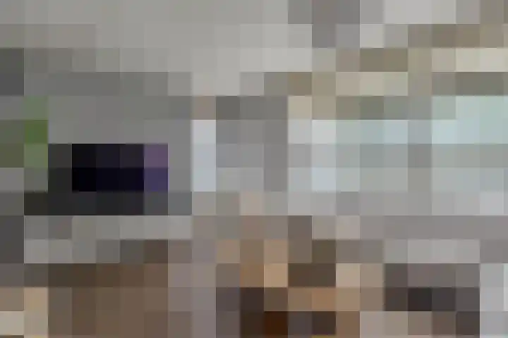 Hugo de Grootstraat 21 Hoogerheide thumbnail 7