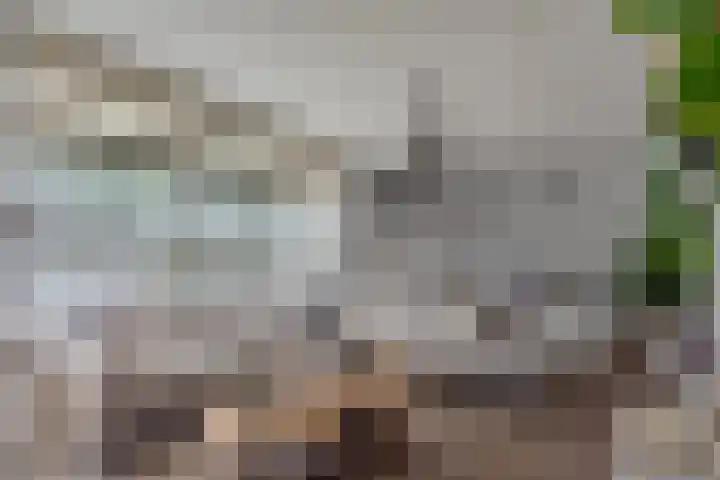 Hugo de Grootstraat 21 Hoogerheide thumbnail 8