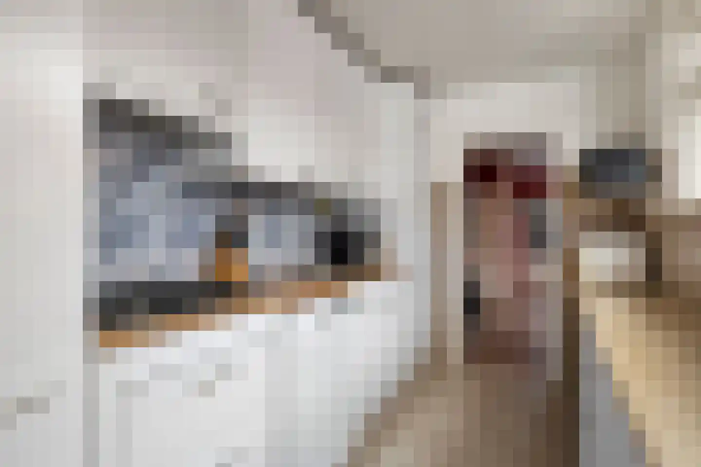 Hugo de Grootstraat 21 Purmerend thumbnail 9
