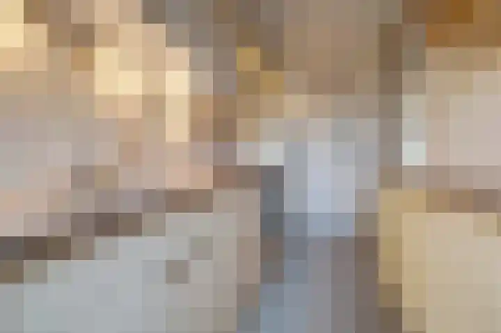 Hugo de Grootstraat 23 Drunen thumbnail 14