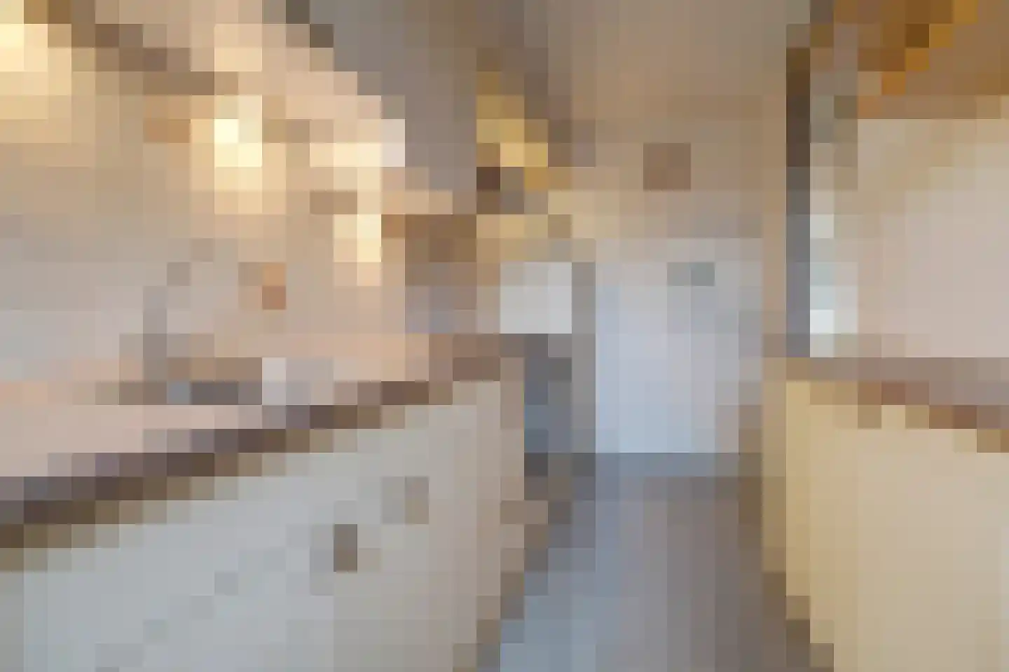 Hugo de Grootstraat 23 Drunen thumbnail 14