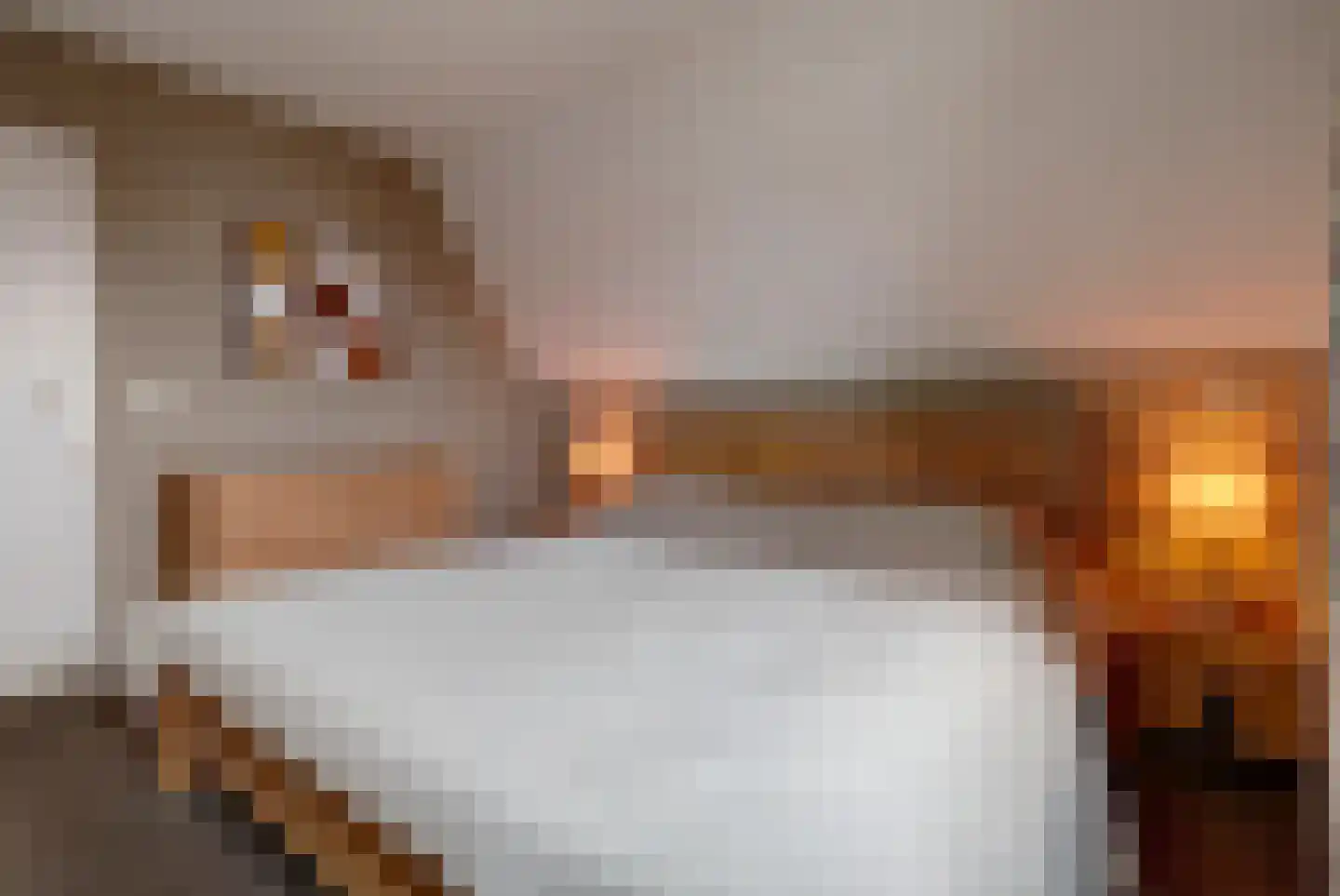 Hugo de Grootstraat 23 Drunen thumbnail 20